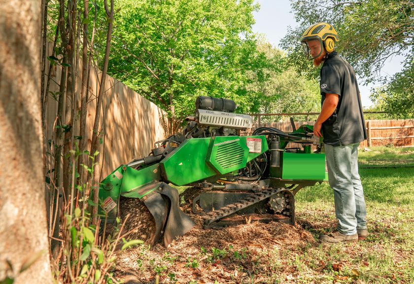 Stump grinder working in a fenced backyard